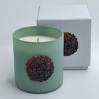 MintGreen3